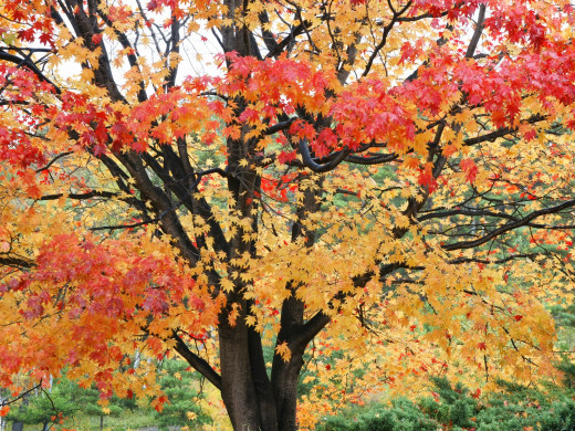 46702 (a): :1600x1200